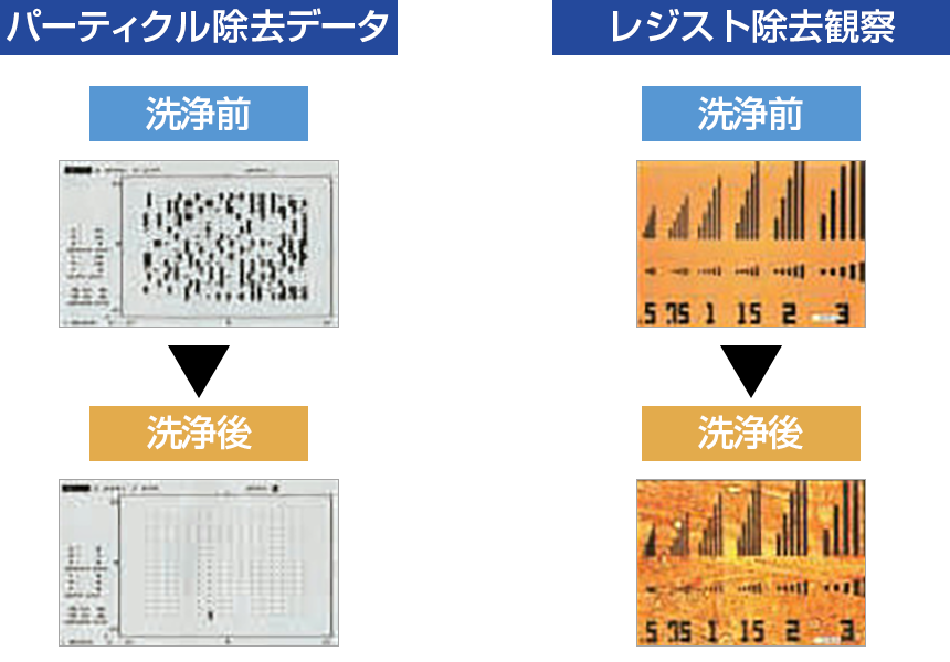 パーティクル除去データ／レジスト除去観察